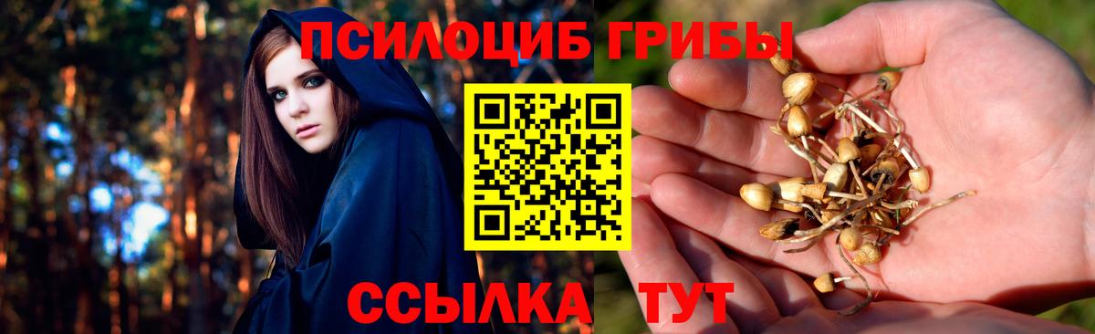 купить наркоту  Вход с VPN  Псилоцибиновые грибы MAGIC MUSHROOMS  Артём  Галлюциногенные грибы Psilocybe 